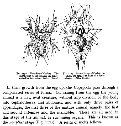 Freshwater Biology. Ward and Whipple. Wiley. 1918. P. 744.