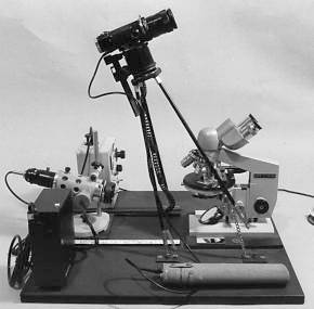Photomicrography: Viewing through binocular head